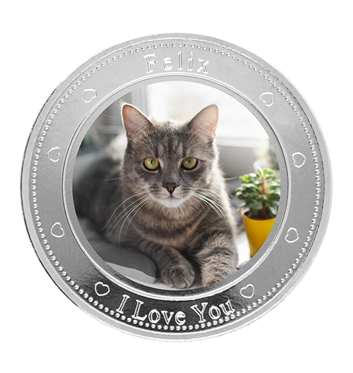 For the best friends - printing coin